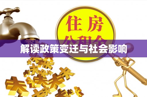 大方解读政策变迁与社会影响