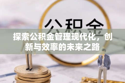 大方探索公积金管理现代化，创新与效率的未来之路