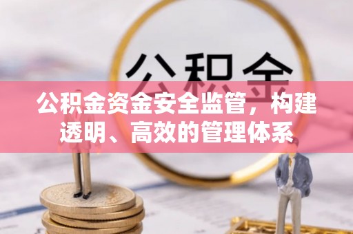 大方公积金资金安全监管，构建透明、高效的管理体系