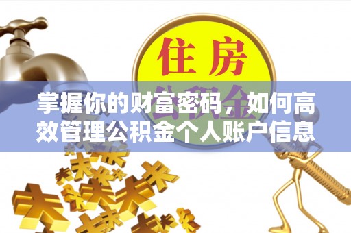 大方掌握你的财富密码，如何高效管理公积金个人账户信息