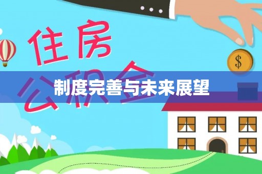 大方制度完善与未来展望