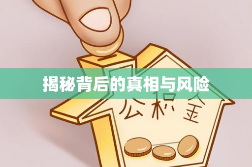 大方揭秘背后的真相与风险