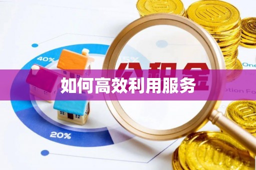 大方如何高效利用服务