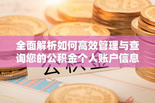 大方全面解析如何高效管理与查询您的公积金个人账户信息