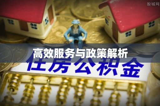大方高效服务与政策解析