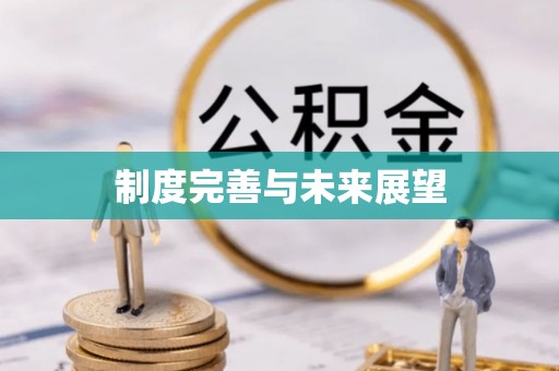 大方制度完善与未来展望