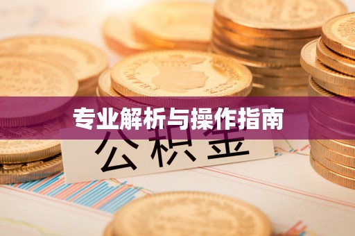 大方专业解析与操作指南