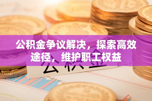 大方公积金争议解决，探索高效途径，维护职工权益