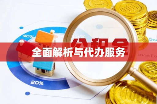 大方全面解析与代办服务