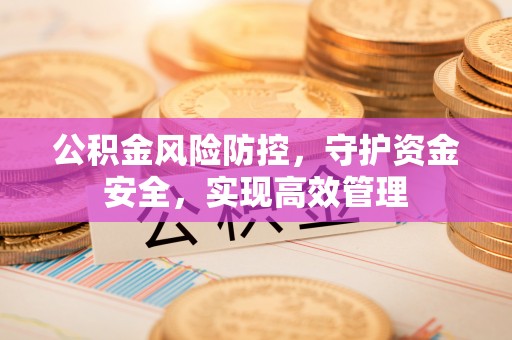 大方公积金风险防控，守护资金安全，实现高效管理