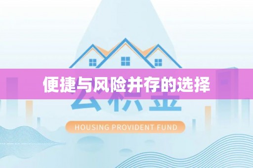 大方便捷与风险并存的选择
