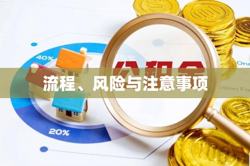大方流程、风险与注意事项