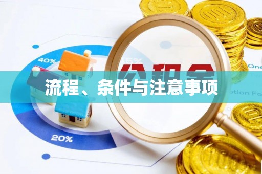大方流程、条件与注意事项