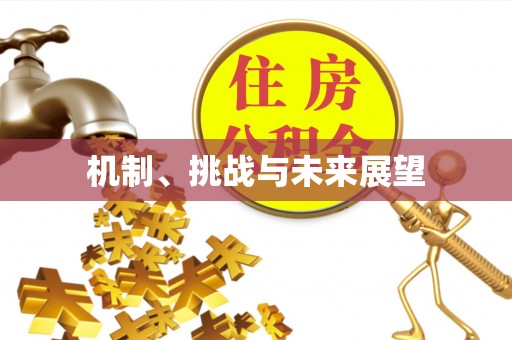 大方机制、挑战与未来展望